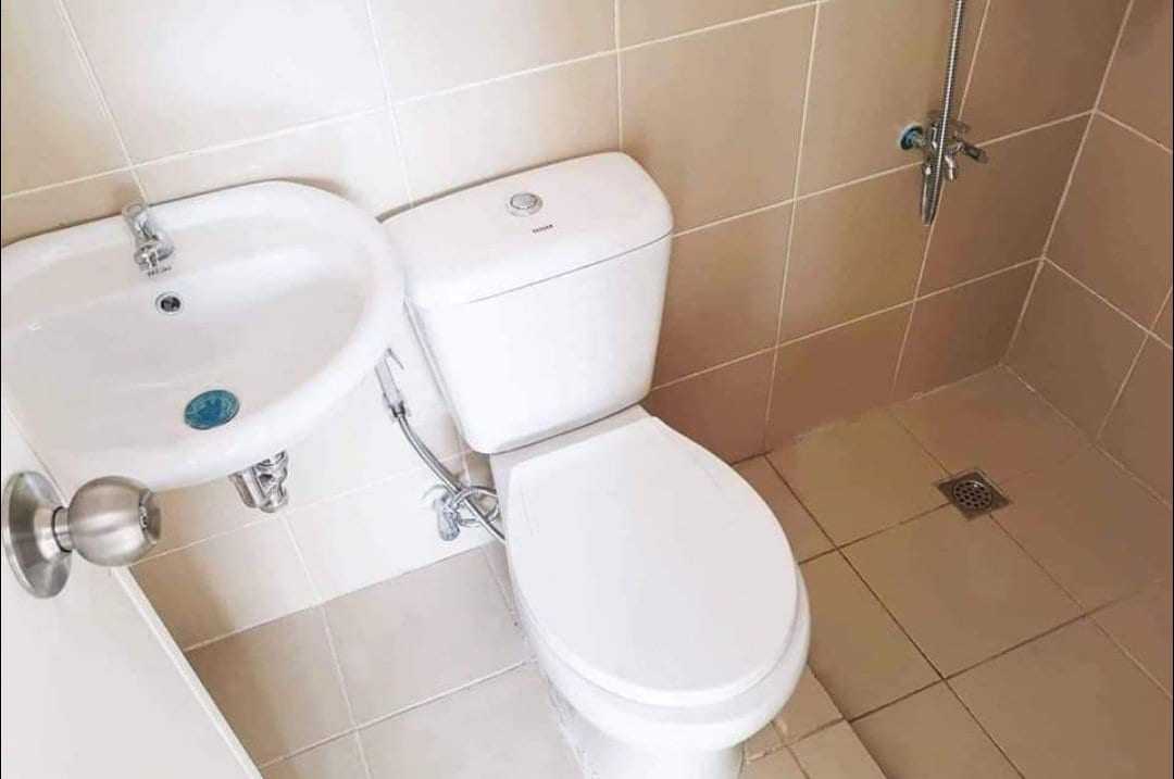 toilet-(2)---Copy.jpg